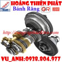 Bánh răng động cơ Rossi Việt Nam