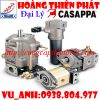 Đại Lý bơm Casappa việt nam - anh 1