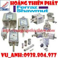 Đại Lý cầu chì Ferraz Shawmut tai việt nam