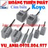 Cảm biến tiệm cận Koyo tại việt nam - anh 1