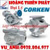 Đại lý Corken tại việt nam - anh 1