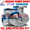 Bơm công nghiệp Corken việt nam - anh 1